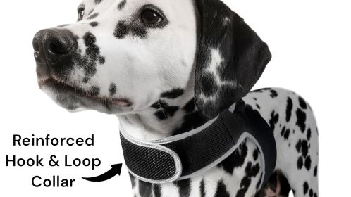 Collar Rechargeable Portable GPS Tracking Devices for Pets GSM Locator Size:XS