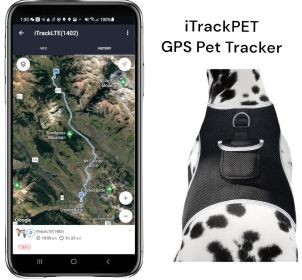 Wide Area Coverage GSM GPS Tracking Chip for Dogs - Realtime Tracking Size:XXL