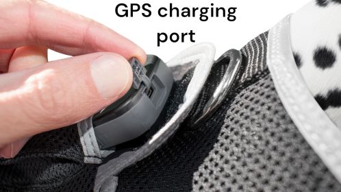 High Quality Pet Tracker GSM Portable Tracking Device Best GPS Pet Tracker Size:XXL