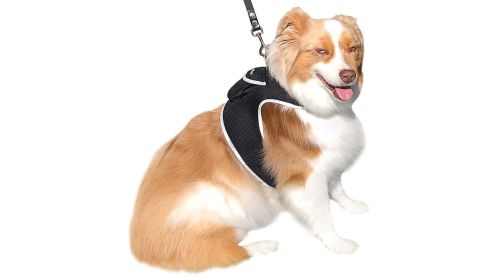 Mini GPS Tracking Unit Portable Waterproof GSM GPRS Pet Collar Tracker Size:XXL