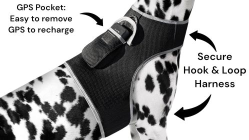 Mini GSM GPS Cat Tracker Realtime Tracking Device for Pet Surveillance Size:XXL