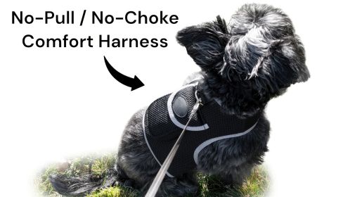 Dependable Waterproof GPS Pet Chip Tracker Realtime Pocket Pet Locator Size:XXL
