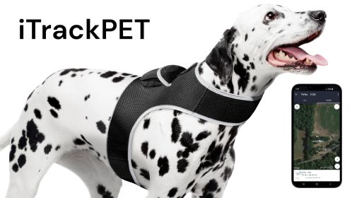 GSM GPRS GPS Collar Tracking Device Mini Portable Pet Realtime Tracker Size:XXL