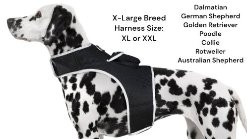 High Quality Waterproof Real-time Tracking Mini GSM GPRS Pet Tracker Size:XXL