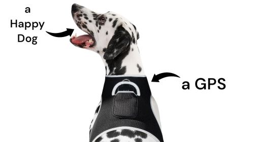 Enhanced Wireless GPRS GSM Tracking w/ Waterproof Mini Pet GPSTracker Size:XXL