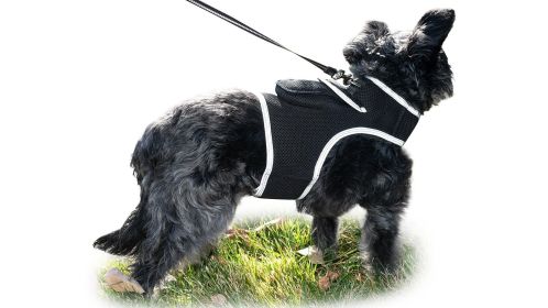 Guard Your Pet Against Theft with Mini Waterproof GSM GPRS Pet Tracker Size:XXL