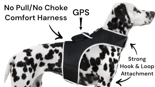 Economical Waterproof Mini GPS GSM Pet Tracker for Realtime Tracking Size:L